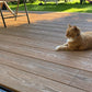 Cladco Nordeck Premium PVC Woodgrain Effect Decking Board - Chestnut (3.6m)