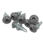 Cladco 20mm Ruspert® Low Profile Stitching Screws + Driver Bit (Pack of 100)