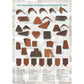 Tudor Traditional Handmade Clay Third Round Ridge