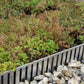 Wallbarn Green Roof Aluminium Edging Bar - 2.4m x 100mm