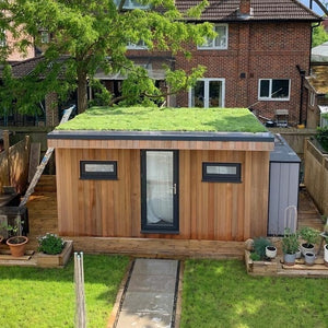 Wallbarn M-Tray® Sedum Green Roof Module - 500 x 500 x 100mm